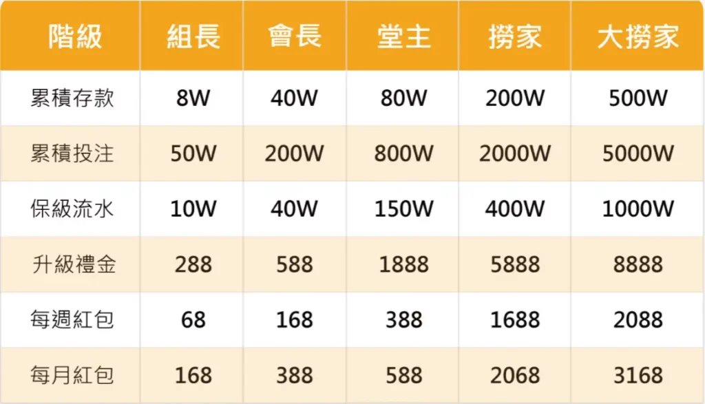 大撈家VIP說明表格