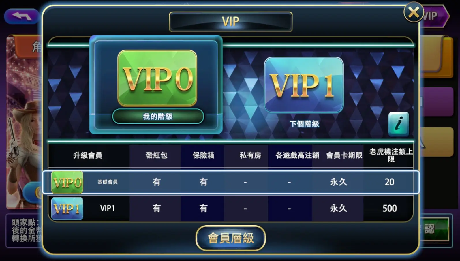 大頭家娛樂城 VIP